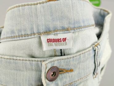 calvin klein jeans plus sukienki: Colours of the World, Jeansy damskie, L — 4