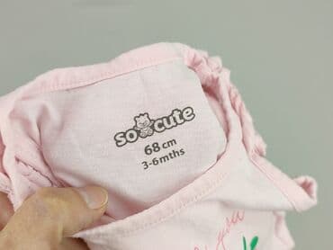 podkoszulki 98: Body, So cute, 3-6 miesięcy, 
stan - Idealny — 4