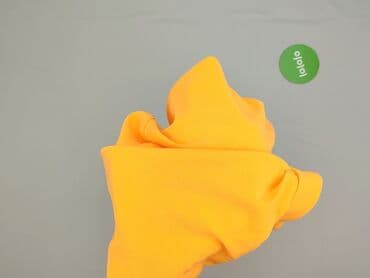 plisowane spódnice lidl: Savida, Spódnica damska, L — 6