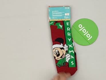 rajstopy mikrofibra: Socks, Disney, 25–27, condition - Perfect — 3