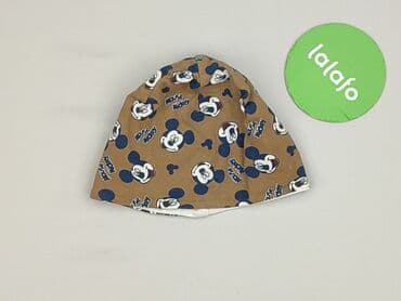 czapka zimowa wiązana dla niemowlaka: Hat, Disney, 2-3 years, 50-51 cm, condition - Very good — 2