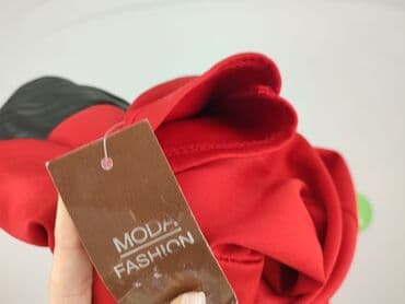 sukienka mia moda: Moda Italia, Sukienka damska, S — 5