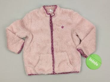 hollister bluzki: Bluza, Little kids, 4-5 lat, 104-110 cm, stan - Idealny — 2