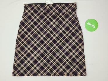 plisowane spódnice lidl: Hennes Collection, Spódnica damska, rozmiar XL — 2