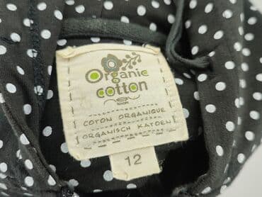 zara zielona bluza: Bluza damska
, rozmiar L — 6