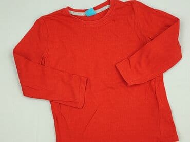 lidl koszulka termiczna: Sweatshirt, Little kids, 5-6 years, 110-116 cm, condition - Very good — 1