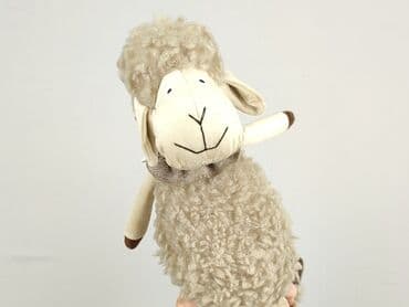 kapcie w ccc: Mascot condition - Perfect — 3