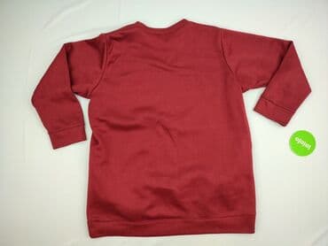 bluza bejsbolówka damska new yorker: Bluza damska
, rozmiar 2XL — 3