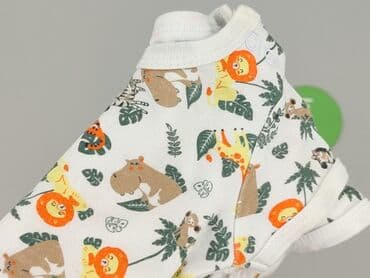 boho ubrania dla niemowląt: Body, So cute, 3-6 months, 
condition - Very good — 5