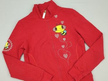 Ubrania damskie: Bluza damska
, rozmiar L — 1