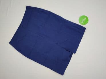 plisowane spódnice lidl: Spódnica damska, rozmiar 3XL — 3