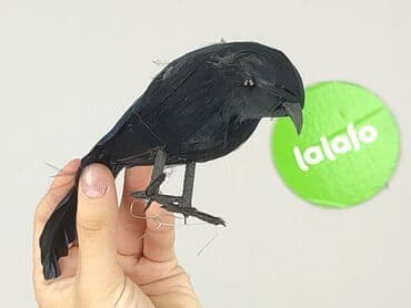 sukienka w pióra: Figurkа, stan - Idealny — 4