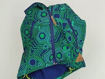 the north face kurtka vinted: Kurtka przejściowa, 3-4 lat, 98-104 cm, stan - Bardzo dobry — 6