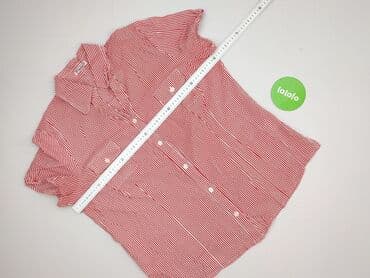 bluza tommy: Jeanswear, Koszula damska, rozmiar 7XL — 5