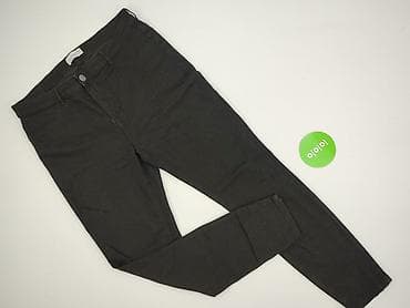 spodnie zara basic: Janina, Spodnie materiałowe damskie, rozmiar 2XL — 2