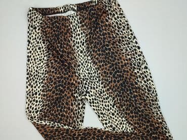 Desirée, Legginsy Eleganckie damskie, 5XL