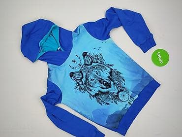 bluza dzik wk: Wolf, Bluza z kapturem damska, rozmiar M — 2
