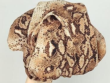 bluza dzika: Boohoo, Koszula damska, rozmiar 6XL — 6