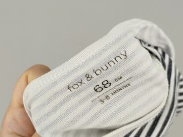 c a ubrania dla niemowląt: Body, Fox&Bunny, 3-6 months, 
condition - Very good — 4