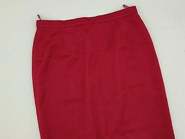 Women's Clothing: Women`s skirt, size S — 1