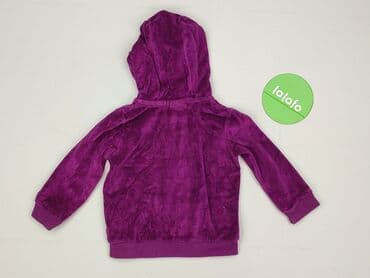 sukienka sweterek allegro: Sweatshirt, Lupilu, 9-12 months, condition - Very good — 3