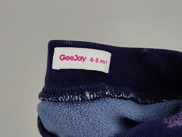 lidl podkoszulki dzieciece: Spodnie jeansowe, GeeJay, 4-5 lat, 104/110, stan - Bardzo dobry — 4