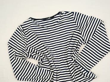 Bluzki: Dorothy Perkins, Bluzka damska, rozmiar 4XL