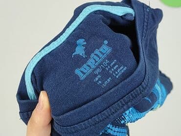 crivit koszulka termoaktywna: Bluza, Lupilu, 3-4 lat, 98-104 cm, stan - Idealny — 4