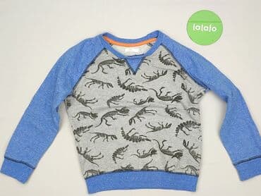 koszulka wilk i zając: Sweatshirt, Pepco, 8 years, 122-128 cm, condition - Very good — 2