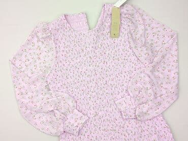 sukienki na chrzest dziecka: Forever New, Sukienka damska, rozmiar 2XL — 1