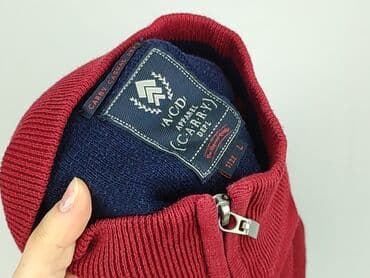 Чоловічий одяг: Светр, L, Carry, стан - Ідеальний — 4