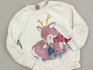 fila koszulki: Bluza, Little kids, 4-5 lat, 104-110 cm, stan - Bardzo dobry — 1