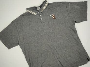 Koszulki polo: Koszulka polo dla mężczyzn, XL, Warner Bros., stan - Bardzo dobry