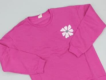 koszulka z psem: Sweatshirt, Cool Club, 13 years, 152-158 cm, condition - Very good — 1