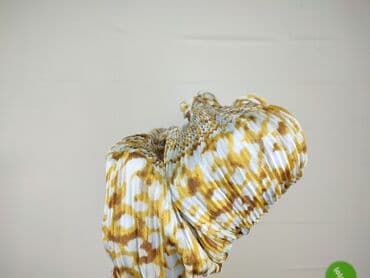 siedlce sukienki na wesele: Sukienka damska, rozmiar S — 5