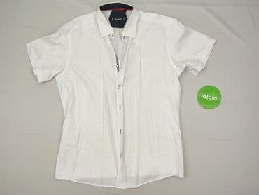 koszule makłowicz: Shirt for men, size XL — 2