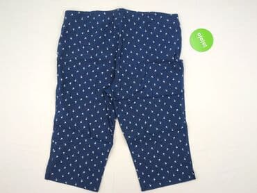 t shirty python: Shorts for women, size 4XL (EU 48) — 3