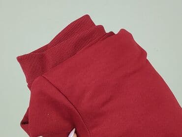 bluza reprezentacji niemiec: Sweatshirt, 8 years, 122-128 cm, condition - Perfect — 5