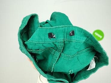 dobermans aggressive spodnie: Greenpoint, Spodnie materiałowe damskie, rozmiar M — 6