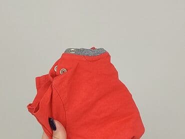 bluza z c a: Sweatshirt, Tom Tailor, 9-12 months, condition - Good — 6