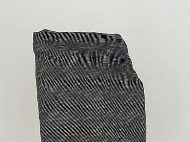 carry 5: Janina, Sukienka damska, rozmiar 4XL — 7