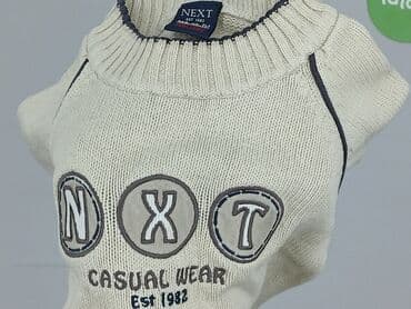 kamizelka jenot naturalny: Sweater, Next, 9-12 months, condition - Good — 6