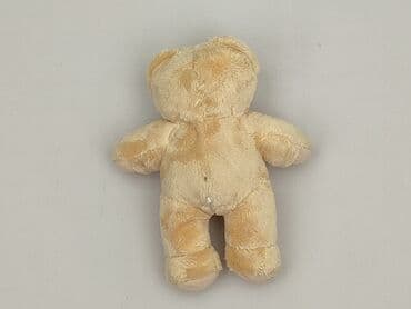 c: Mascot Teddy bear, condition - Perfect — 2