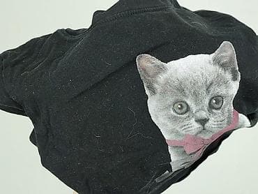 powerwolf polska: Cropp, T-shirt damski, rozmiar XS — 6