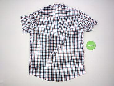 willsoor: Tom Rose, Koszulа dla mężczyzn, rozmiar 2XL — 4