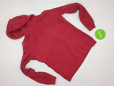 Hollister, Women`s hoodie, size S — 4