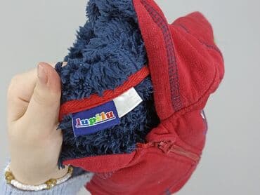 skarpety z twoim psem: Bluza, Lupilu, 1.5-2 lat, 86-92 cm, stan - Dobry — 4