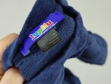 kurtka napapijri: Sweatshirt, Lupilu, 3-6 months, condition - Very good — 4
