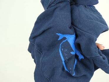 spodnie softshell dla dzieci lidl: Sweatshirt, Lupilu, 1.5-2 years, 86-92 cm, condition - Perfect — 4
