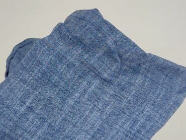 pitbull koszulka termoaktywna: Shirt for men, S (EU 36), Livergy, condition - Very good — 6